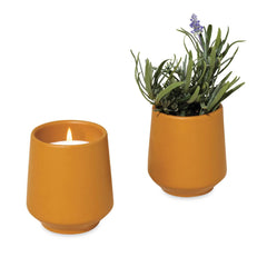 Rewards Item: Modern Sprout - Rooted Candle
