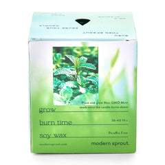 Modern Sprout Accessories Modern Sprout - Garden Vibes Candle/Planter
