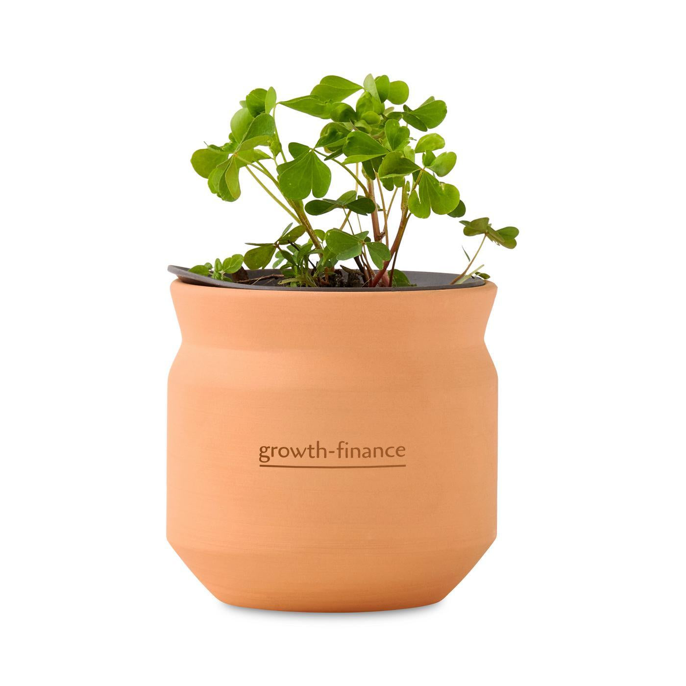 Modern Sprout Outdoor & Leisure One Size / Terracotta Modern Sprout - Tiny Terracotta Lucky to Have You