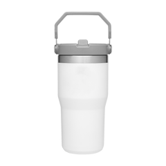 Stanley Drinkware 20oz / Polar Stanley - IceFlow™ 1.0 Flip Straw Tumbler 20oz
