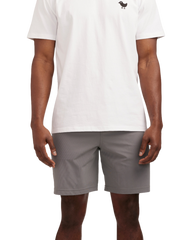 Bad Birdie - Men's Grey Golf Shorts