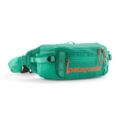 Patagonia Bags Patagonia - Black Hole® Waist Pack 5L
