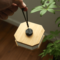 Origaudio Accessories One Size / Bamboo Origaudio - Accordio Light