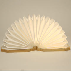 Origaudio Accessories One Size / Bamboo Origaudio - Accordio Light