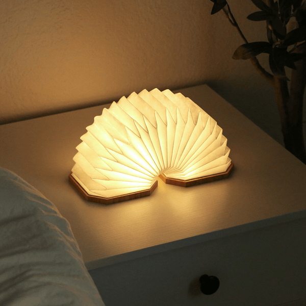 Origaudio Accessories One Size / Bamboo Origaudio - Accordio Light