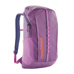 Patagonia Bags 25L / Brisk Purple Patagonia - Black Hole® Pack 25L