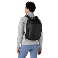 Swift Ship Bags 20L / Robin Brown 3-Day Swift Ship: Patagonia - Atom Tote Pack 20L