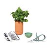 Threadfellows Accessories One Size / Terracotta Modern Sprout® Growing Gourmet Gift Set