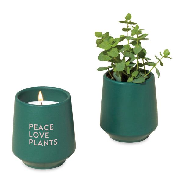 Threadfellows Accessories Thyme / Dark Teal Modern Sprout® Rooted Candle